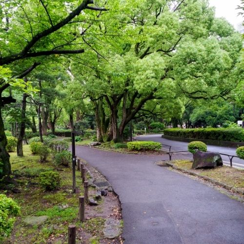 Plaza y Parques